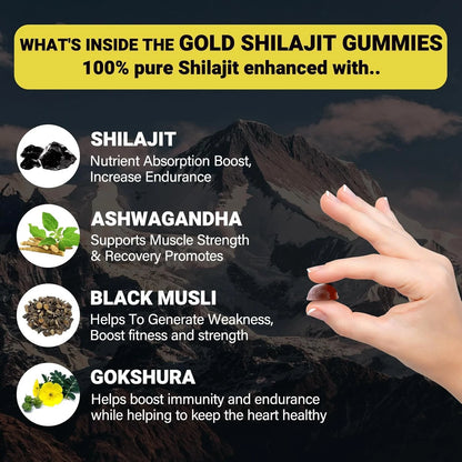 Himalayan Shilajit GOLD Gummies 3000 mg Fulvic Acid